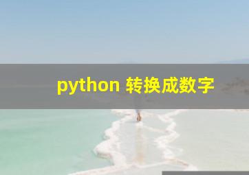 python 转换成数字